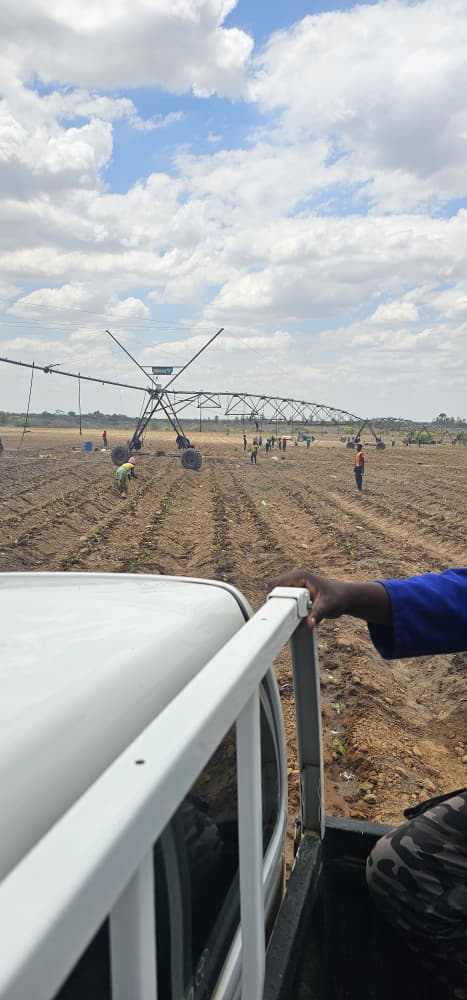 Irrigation